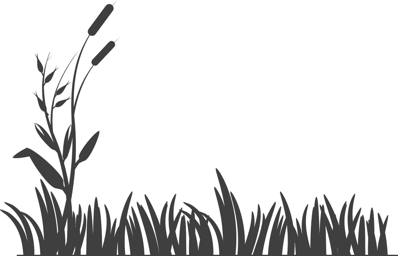 Lim Heang Yu Enterprise co. ltd